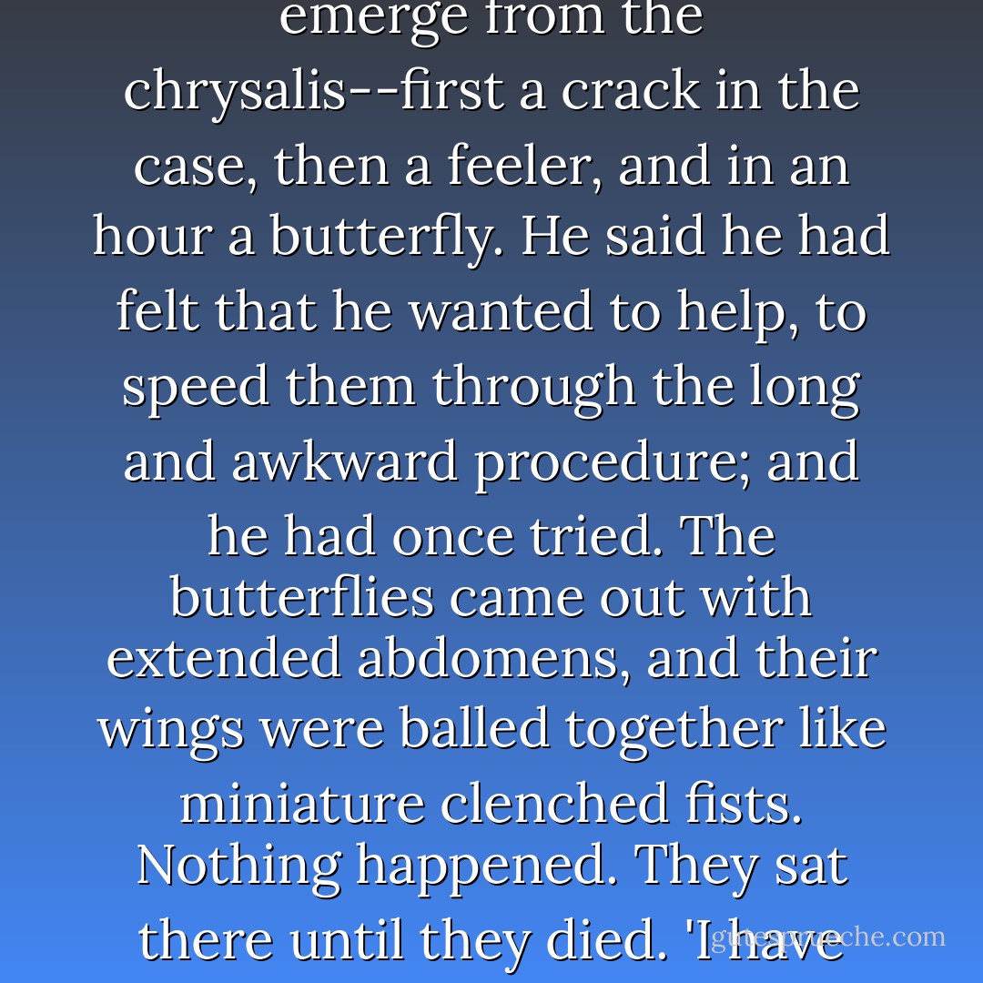 Now, at Suiattle Pass, Brower was still talking about butterflies. He said he had raised them from time to time and had often watched them emerge from the chrysalis--first a crack in the case, then a feeler, and in an hour a butterfly. He said he had felt that he wanted to help, to speed them through the long and awkward procedure; and he had once tried. The butterflies came out with extended abdomens, and their wings were balled together like miniature clenched fists. Nothing happened. They sat there until they died. 'I have never gotten over that,' he said. 'That kind of information is all over in the country, but it's not in town. - John McPhee