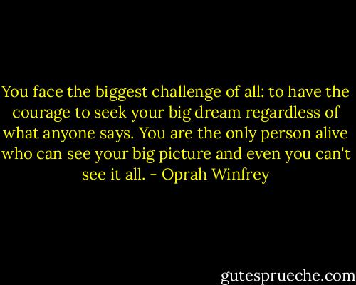 You face the biggest challenge of all: to have the courage to seek your big dream regardless of what anyone says. You are the only person alive who can see your big picture and even you can't see it all. - Oprah Winfrey