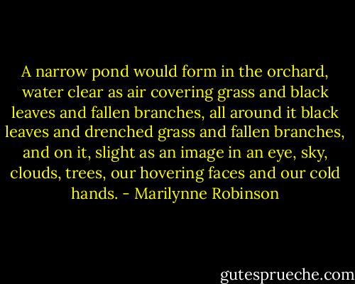 A narrow pond would form in the orchard, water clear as air covering grass and black leaves and fallen branches, all around it black leaves and drenched grass and fallen branches, and on it, slight as an image in an eye, sky, clouds, trees, our hovering faces and our cold hands. - Marilynne Robinson