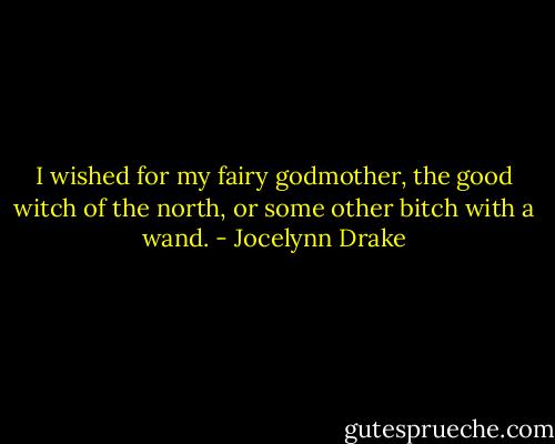 I wished for my fairy godmother, the good witch of the north, or some other bitch with a wand. - Jocelynn Drake