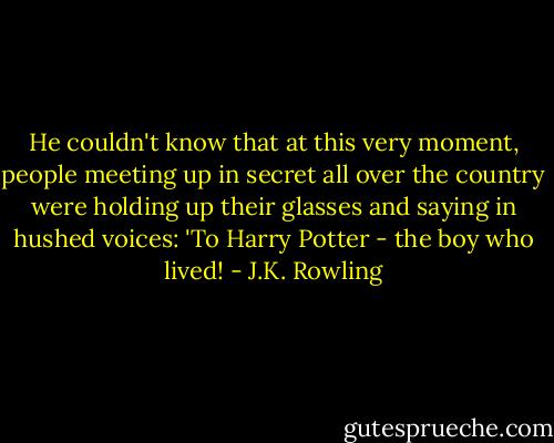 He couldn't know that at this very moment, people meeting up in secret all over the country were holding up their glasses and saying in hushed voices: 'To Harry Potter - the boy who lived! - J.K. Rowling