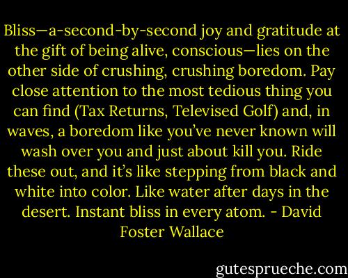 Bliss—a-second-by-second joy and gratitude at the gift of being alive, conscious—lies on the other side of crushing, crushing boredom. Pay close attention to the most tedious thing you can find (Tax Returns, Televised Golf) and, in waves, a boredom like you’ve never known will wash over you and just about kill you. Ride these out, and it’s like stepping from black and white into color. Like water after days in the desert. Instant bliss in every atom. - David Foster Wallace