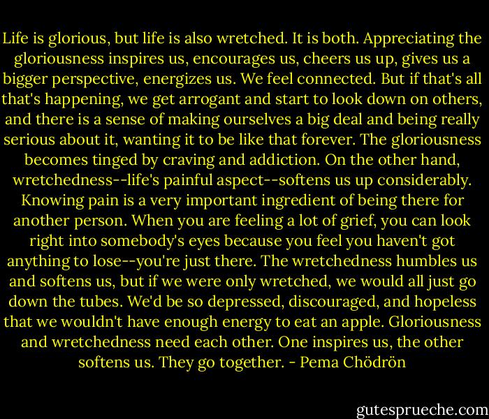 Life is glorious, but life is also wretched. It is both. Appreciating the gloriousness inspires us, encourages us, cheers us up, gives us a bigger perspective, energizes us. We feel connected. But if that's all that's happening, we get arrogant and start to look down on others, and there is a sense of making ourselves a big deal and being really serious about it, wanting it to be like that forever. The gloriousness becomes tinged by craving and addiction. On the other hand, wretchedness--life's painful aspect--softens us up considerably. Knowing pain is a very important ingredient of being there for another person. When you are feeling a lot of grief, you can look right into somebody's eyes because you feel you haven't got anything to lose--you're just there. The wretchedness humbles us and softens us, but if we were only wretched, we would all just go down the tubes. We'd be so depressed, discouraged, and hopeless that we wouldn't have enough energy to eat an apple. Gloriousness and wretchedness need each other. One inspires us, the other softens us. They go together. - Pema Chödrön