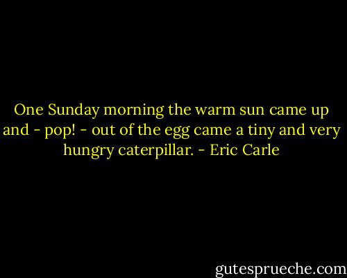 One Sunday morning the warm sun came up and - pop! - out of the egg came a tiny and very hungry caterpillar. - Eric Carle