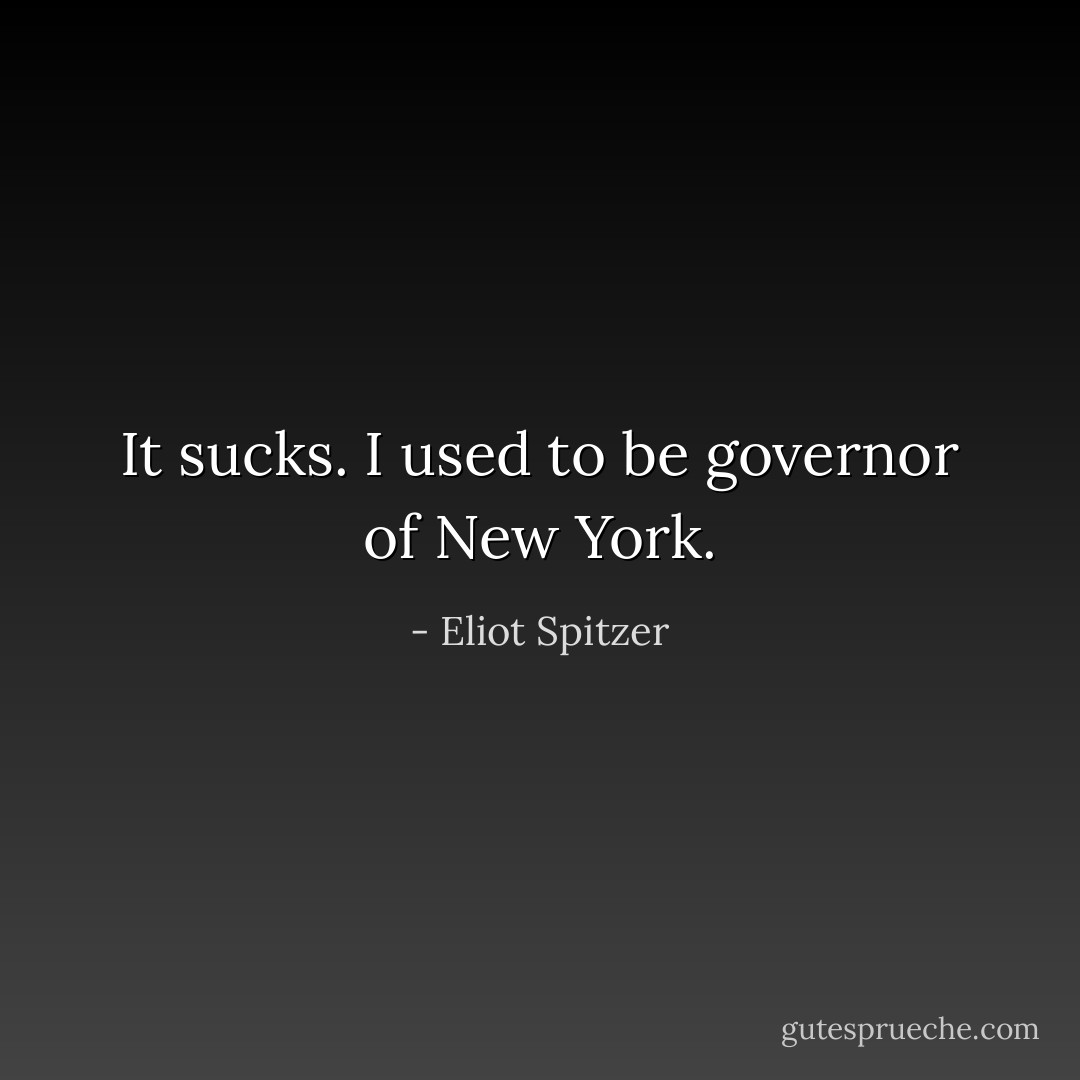 It sucks. I used to be governor of New York. - Eliot Spitzer