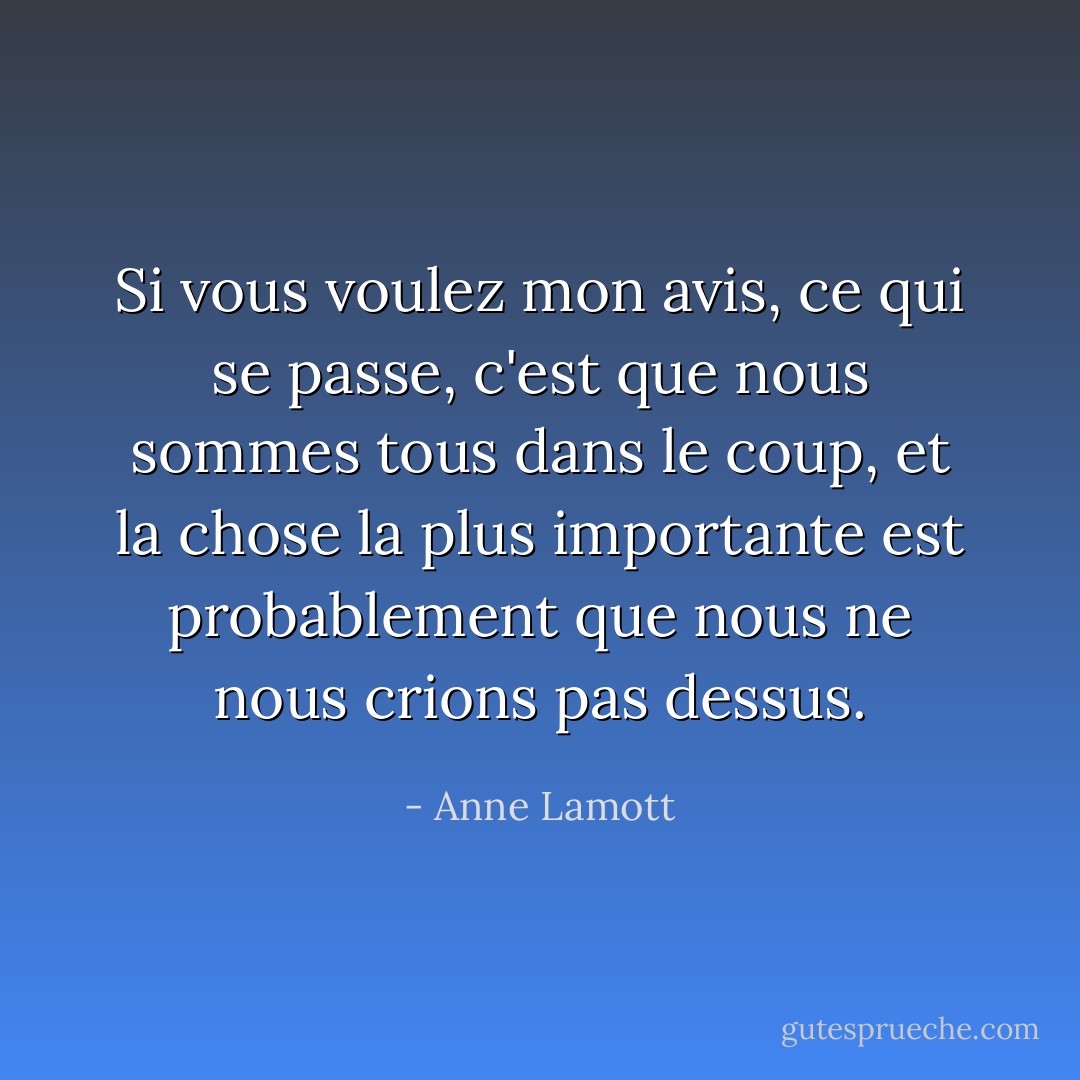 Si vous voulez mon avis, ce qui se passe, c'est que nous sommes tous dans le coup, et la chose la plus importante est probablement que nous ne nous crions pas dessus. - Anne Lamott