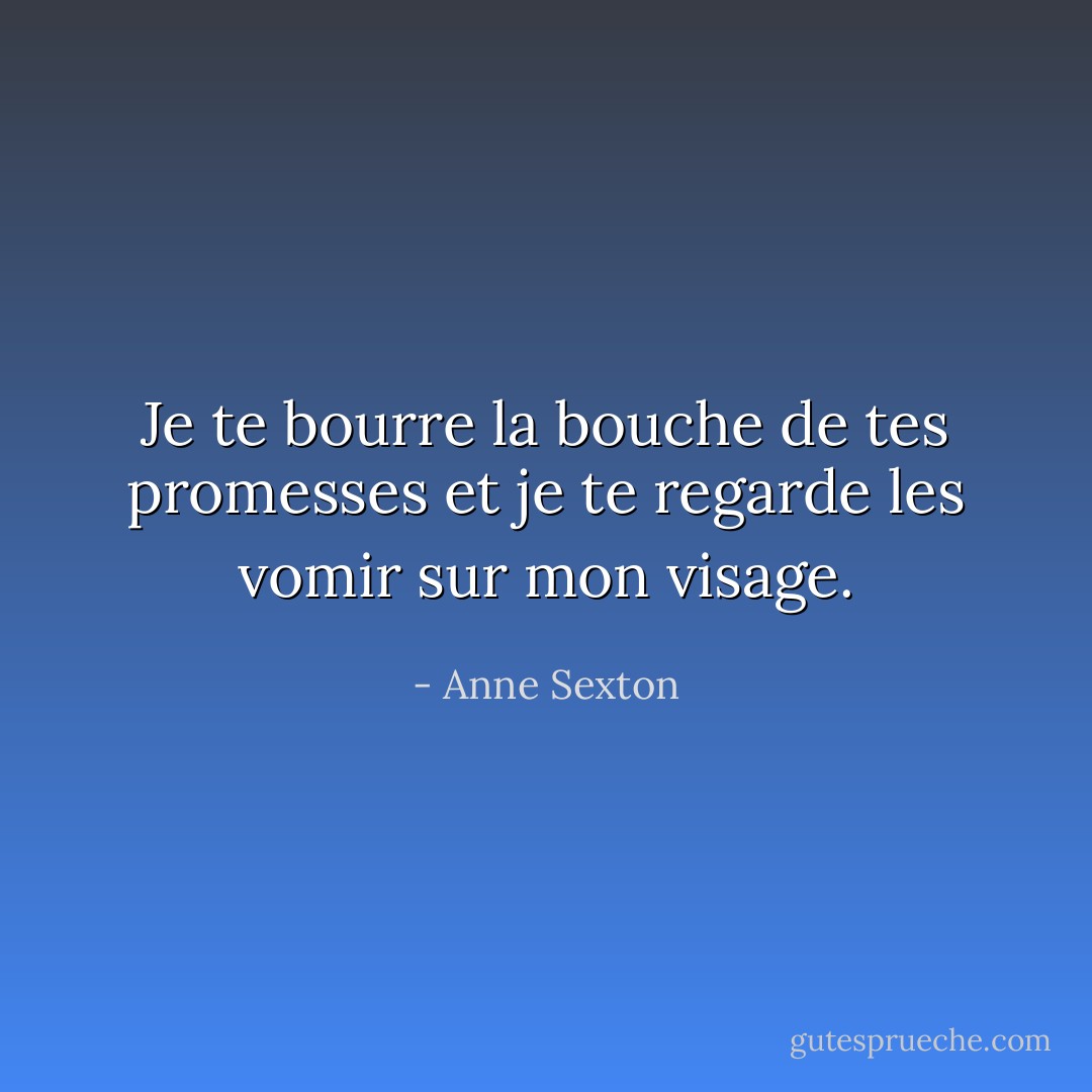 Je te bourre la bouche de tes promesses et je te regarde les vomir sur mon visage. - Anne Sexton