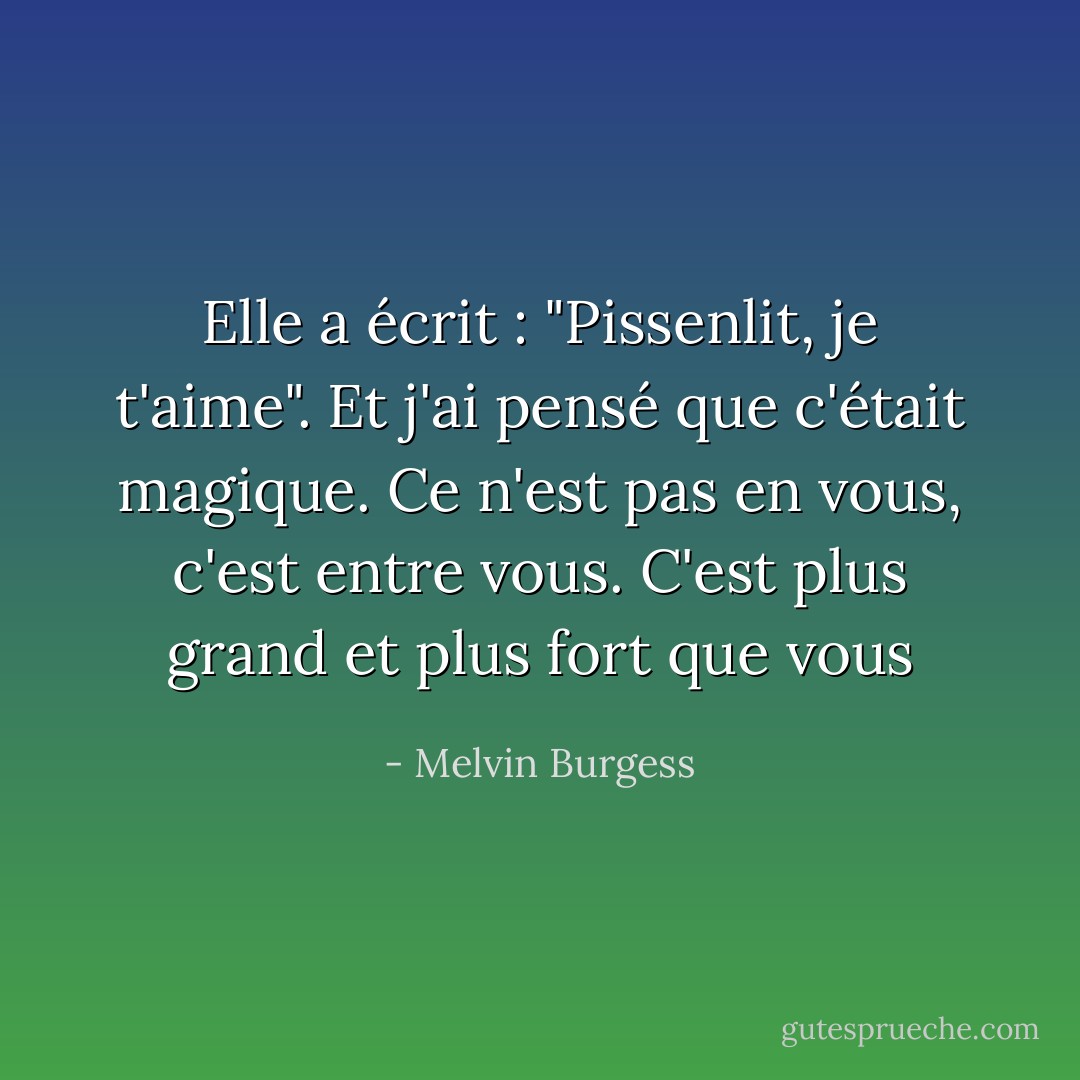 Elle a écrit : "Pissenlit, je t'aime". Et j'ai pensé que c'était magique. Ce n'est pas en vous, c'est entre vous. C'est plus grand et plus fort que vous - Melvin Burgess
