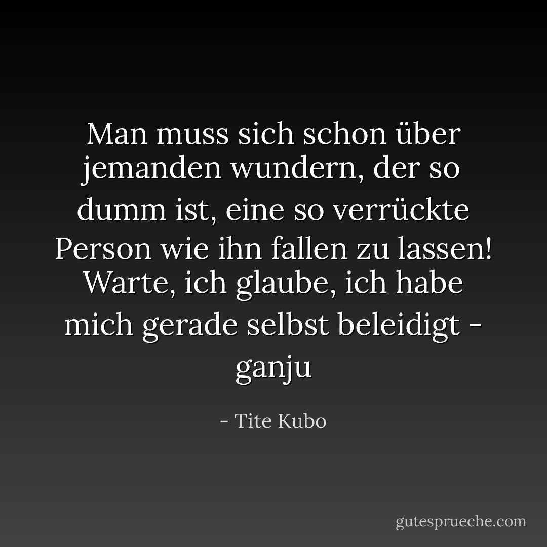 Man muss sich schon über jemanden wundern, der so dumm ist, eine so verrückte Person wie ihn fallen zu lassen!<br />Warte, ich glaube, ich habe mich gerade selbst beleidigt<br />- ganju - Tite Kubo<