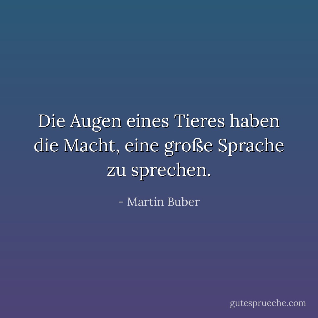Die Augen eines Tieres haben die Macht, eine große Sprache zu sprechen. - Martin Buber<