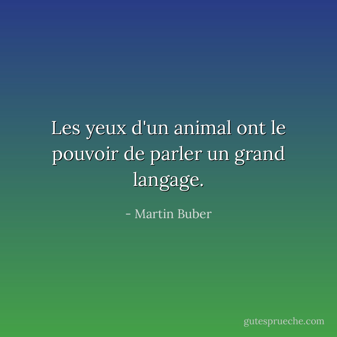 Les yeux d'un animal ont le pouvoir de parler un grand langage. - Martin Buber