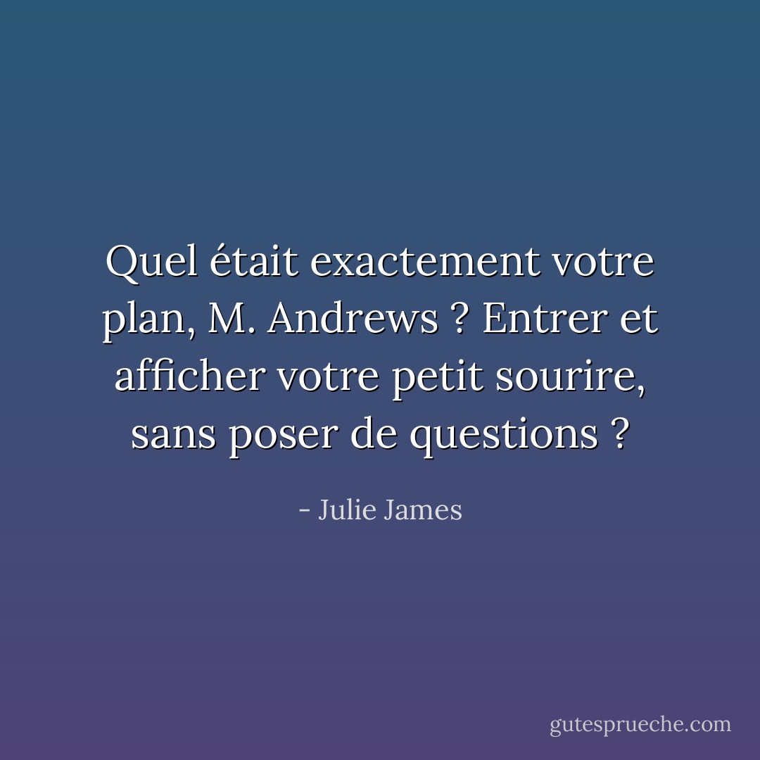 Quel était exactement votre plan, M. Andrews ? Entrer et afficher votre petit sourire, sans poser de questions ? - Julie James