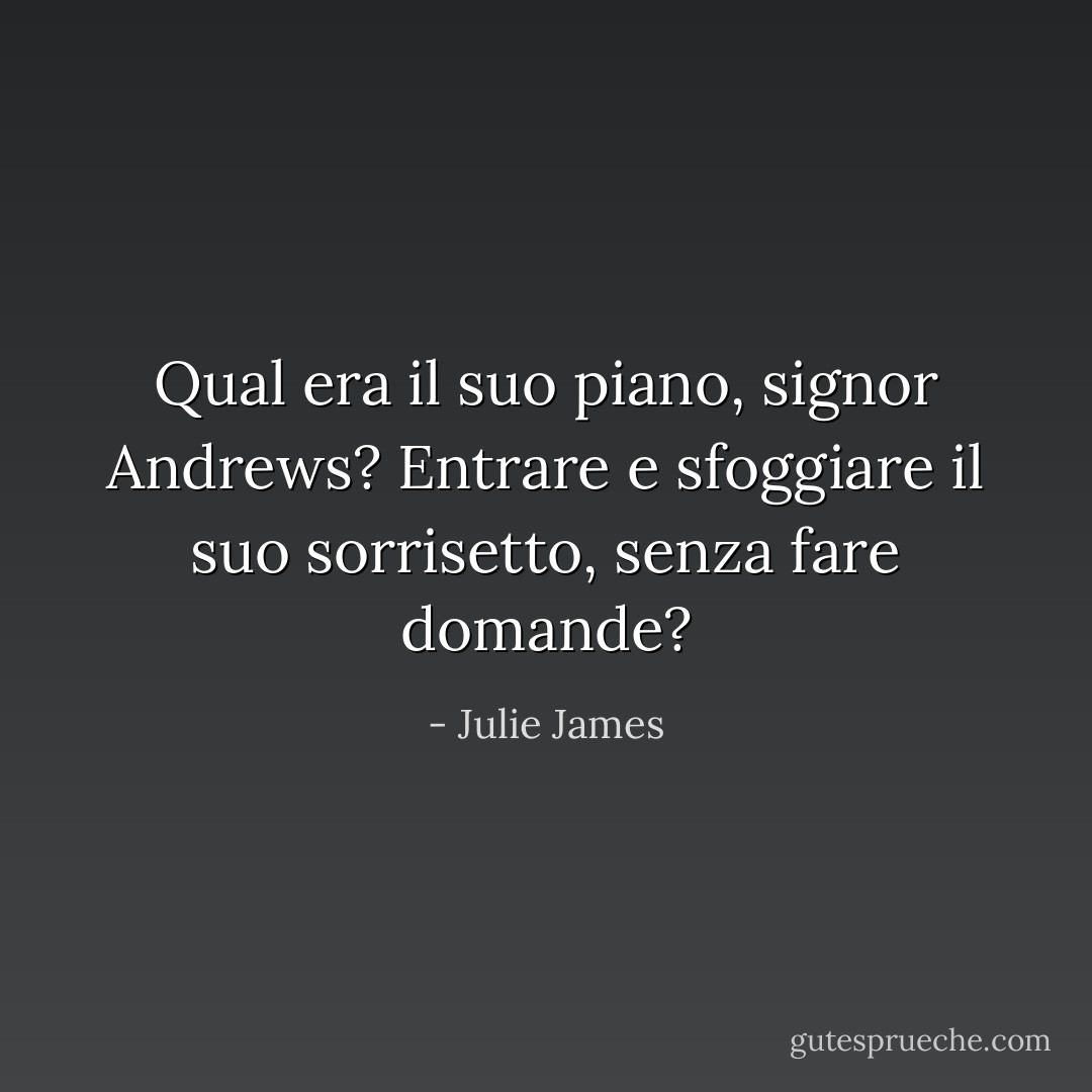 Qual era il suo piano, signor Andrews? Entrare e sfoggiare il suo sorrisetto, senza fare domande? - Julie James