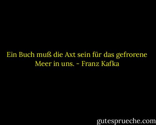Ein Buch muß die Axt sein für das gefrorene Meer in uns. - Franz Kafka