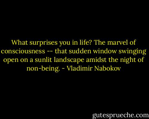 What surprises you in life? The marvel of consciousness -- that sudden window swinging open on a sunlit landscape amidst the night of non-being. - Vladimir Nabokov