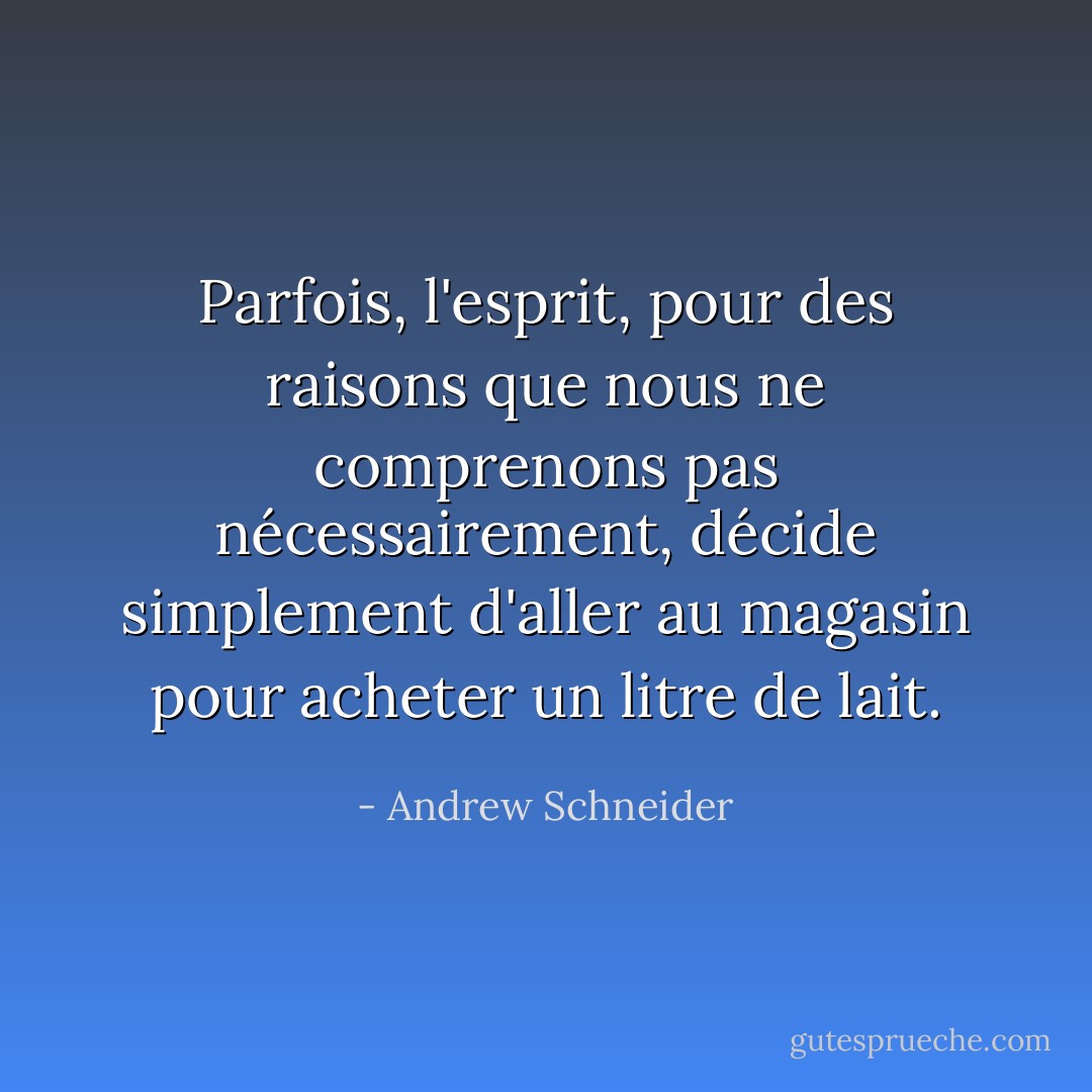 Parfois, l'esprit, pour des raisons que nous ne comprenons pas nécessairement, décide simplement d'aller au magasin pour acheter un litre de lait. - Andrew Schneider