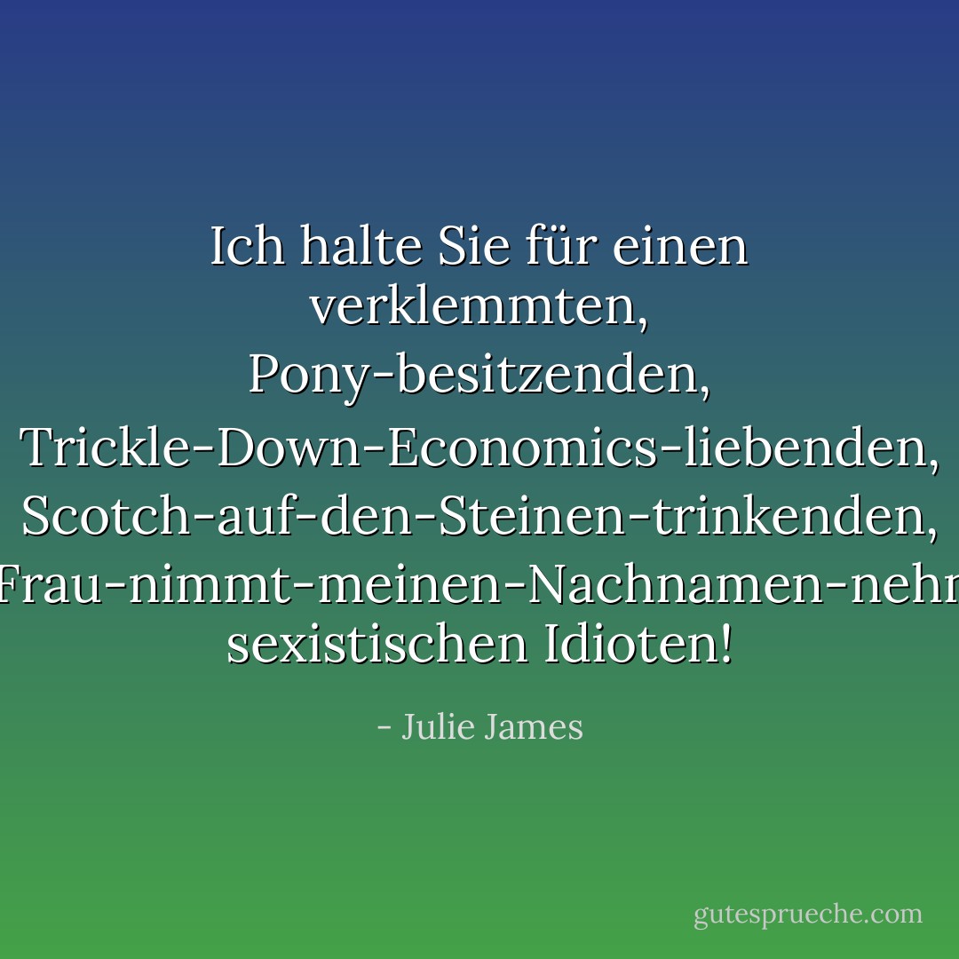 Ich halte Sie für einen verklemmten, Pony-besitzenden, Trickle-Down-Economics-liebenden, Scotch-auf-den-Steinen-trinkenden, meine-Frau-nimmt-meinen-Nachnamen-nehmenden sexistischen Idioten! - Julie James<