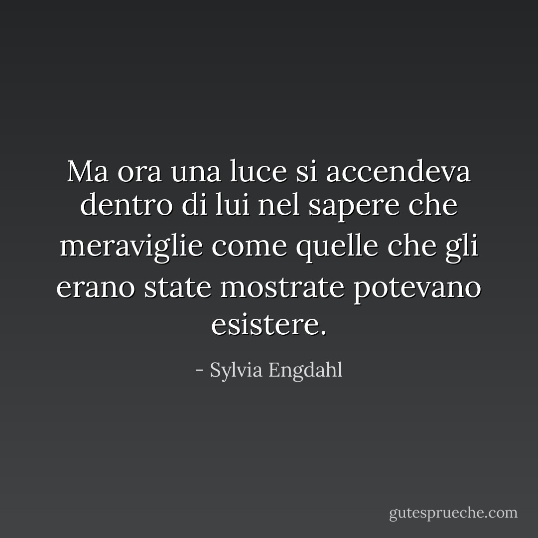 Ma ora una luce si accendeva dentro di lui nel sapere che meraviglie come quelle che gli erano state mostrate potevano esistere. - Sylvia Engdahl