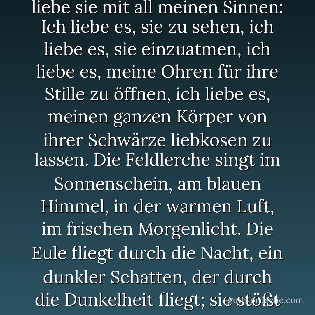 Ich liebe die Nacht leidenschaftlich. Ich liebe sie, wie ich mein Land oder meine Geliebte liebe, mit einer instinktiven, tiefen und unerschütterlichen Liebe. Ich liebe sie mit all meinen Sinnen: Ich liebe es, sie zu sehen, ich liebe es, sie einzuatmen, ich liebe es, meine Ohren für ihre Stille zu öffnen, ich liebe es, meinen ganzen Körper von ihrer Schwärze liebkosen zu lassen. Die Feldlerche singt im Sonnenschein, am blauen Himmel, in der warmen Luft, im frischen Morgenlicht. Die Eule fliegt durch die Nacht, ein dunkler Schatten, der durch die Dunkelheit fliegt; sie stößt ihren unheimlichen, bebenden Schrei aus, als ob sie sich an der berauschenden schwarzen Unermesslichkeit des Raumes erfreut. - Guy de Maupassant<