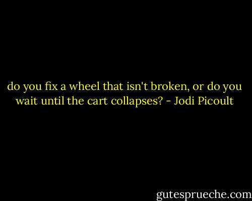do you fix a wheel that isn't broken, or do you wait until the cart collapses? - Jodi Picoult