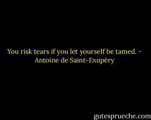 You risk tears if you let yourself be tamed. - Antoine de Saint-Exupéry