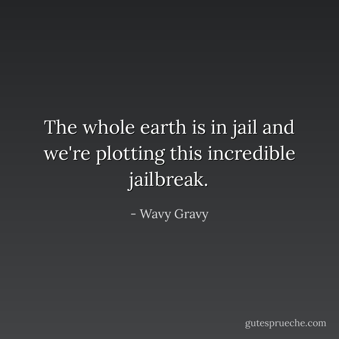 The whole earth is in jail and we're plotting this incredible jailbreak. - Wavy Gravy