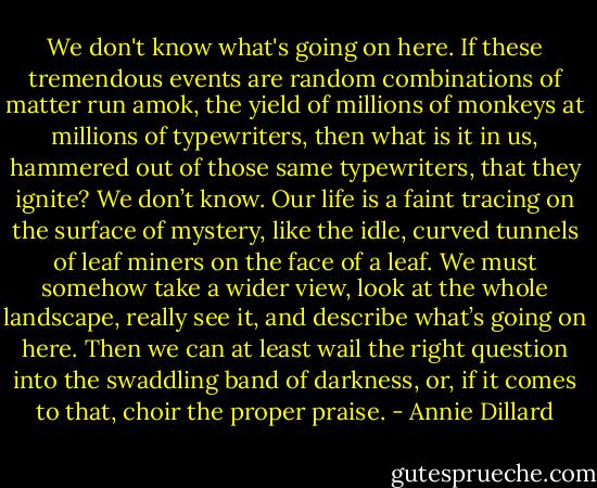 We don't know what's going on here. If these tremendous events are random combinations of matter run amok, the yield of millions of monkeys at millions of typewriters, then what is it in us, hammered out of those same typewriters, that they ignite? We don’t know. Our life is a faint tracing on the surface of mystery, like the idle, curved tunnels of leaf miners on the face of a leaf. We must somehow take a wider view, look at the whole landscape, really see it, and describe what’s going on here. Then we can at least wail the right question into the swaddling band of darkness, or, if it comes to that, choir the proper praise. - Annie Dillard