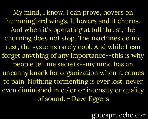 My mind, I know, I can prove, hovers on hummingbird wings. It hovers and it churns. And when it's operating at full thrust, the churning does not stop. The machines do not rest, the systems rarely cool. And while I can forget anything of any importance--this is why people tell me secrets--my mind has an uncanny knack for organization when it comes to pain. Nothing tormenting is ever lost, never even diminished in color or intensity or quality of sound. - Dave Eggers