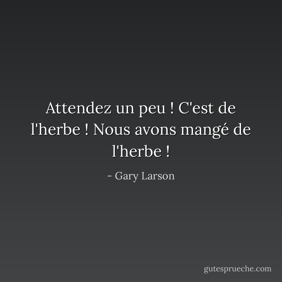 Attendez un peu ! C'est de l'herbe ! Nous avons mangé de l'herbe ! - Gary Larson