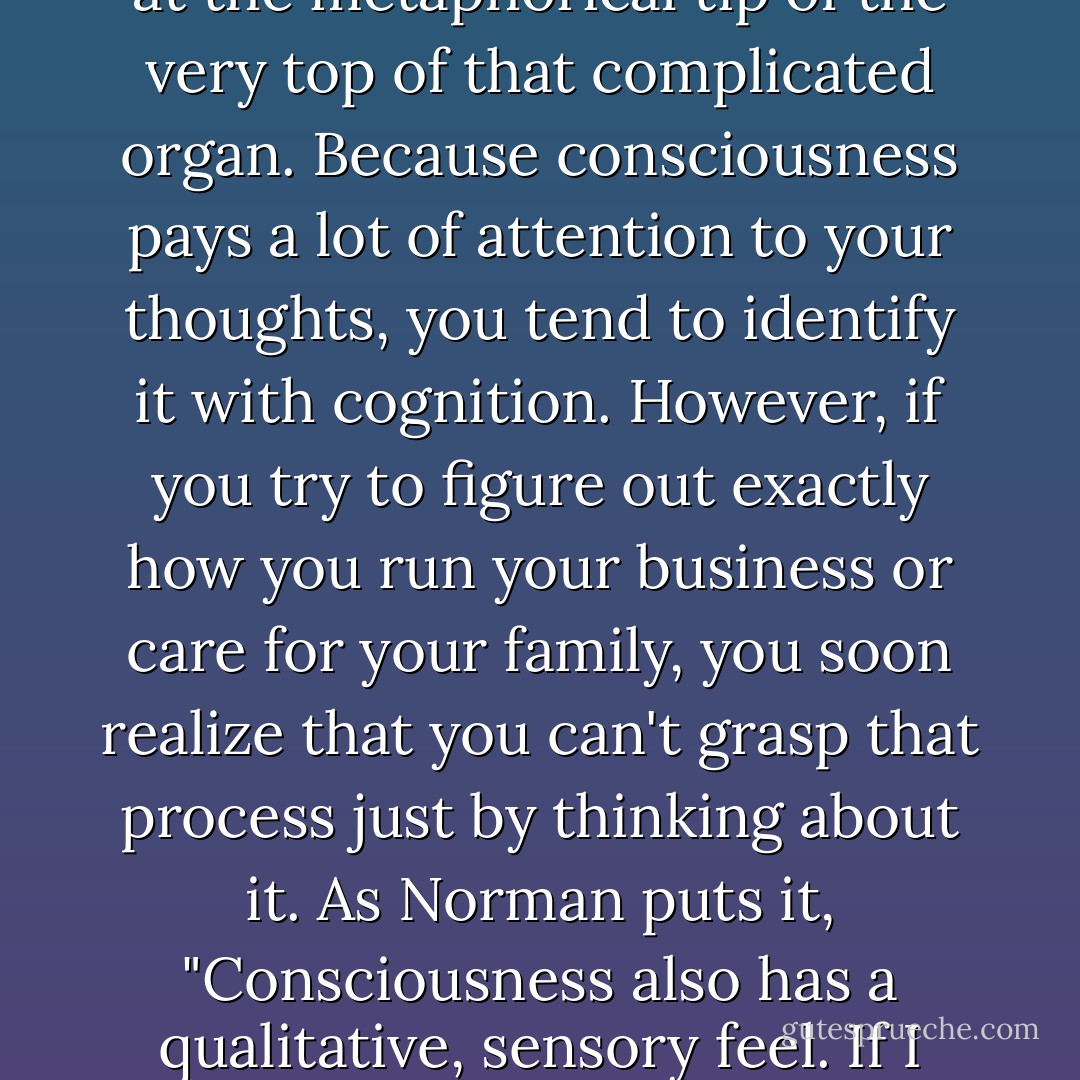 Consciousness, which is the "reflective" element of Norman's conceptual brain, handles the "higher" functions at the metaphorical tip of the very top of that complicated organ. Because consciousness pays a lot of attention to your thoughts, you tend to identify it with cognition. However, if you try to figure out exactly how you run your business or care for your family, you soon realize that you can't grasp that process just by thinking about it. As Norman puts it, "Consciousness also has a qualitative, sensory feel. If I say, 'I'm afraid,' it's not just my mind talking. My stomach also knots up. - Winifred Gallagher