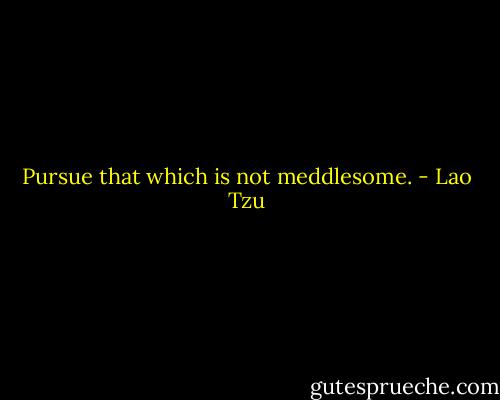 Pursue that which is not meddlesome. - Lao Tzu