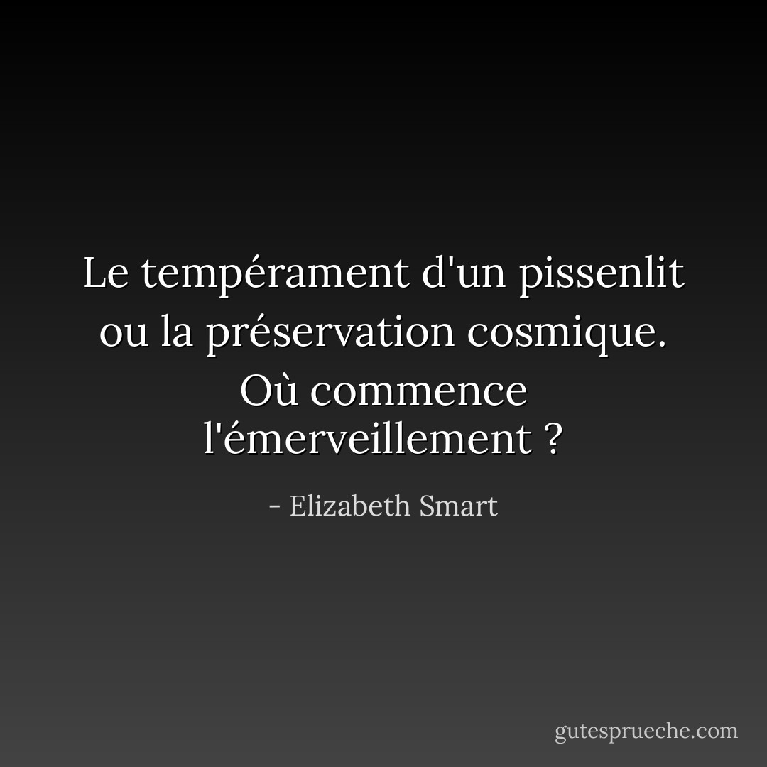 Le tempérament d'un pissenlit ou la préservation cosmique. Où commence l'émerveillement ? - Elizabeth Smart