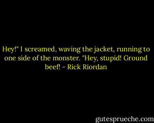 Hey!" I screamed, waving the jacket, running to one side of the monster. "Hey, stupid! Ground beef! - Rick Riordan