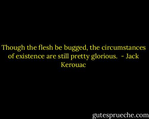 Though the flesh be bugged, the circumstances of existence are still pretty glorious.  - Jack Kerouac