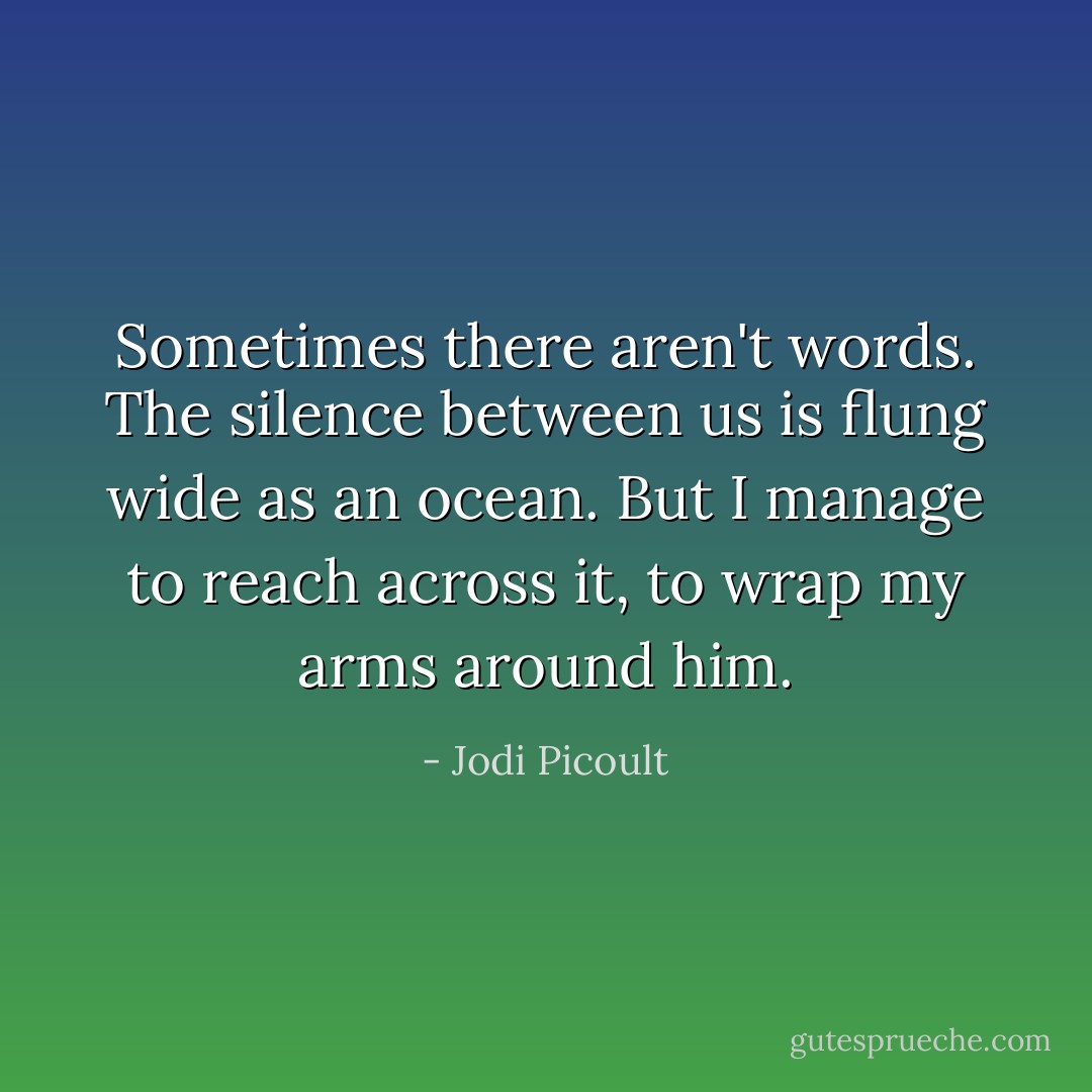 Sometimes there aren't words. The silence between us is flung wide as an ocean. But I manage to reach across it, to wrap my arms around him. - Jodi Picoult
