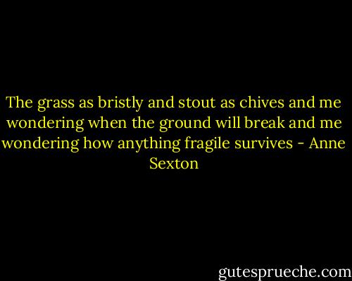 The grass as bristly and stout as chives and me wondering when the ground will break and me wondering how anything fragile survives - Anne Sexton