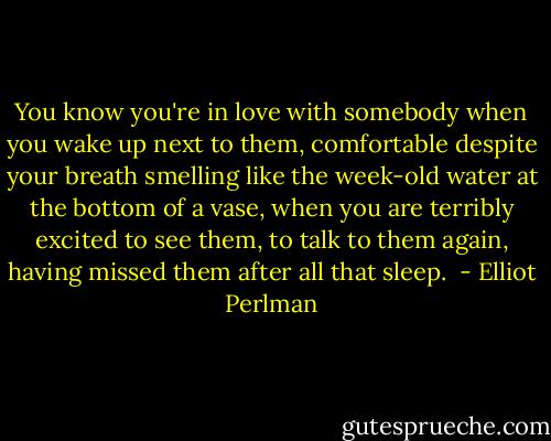 You know you're in love with somebody when you wake up next to them, comfortable despite your breath smelling like the week-old water at the bottom of a vase, when you are terribly excited to see them, to talk to them again, having missed them after all that sleep.  - Elliot Perlman