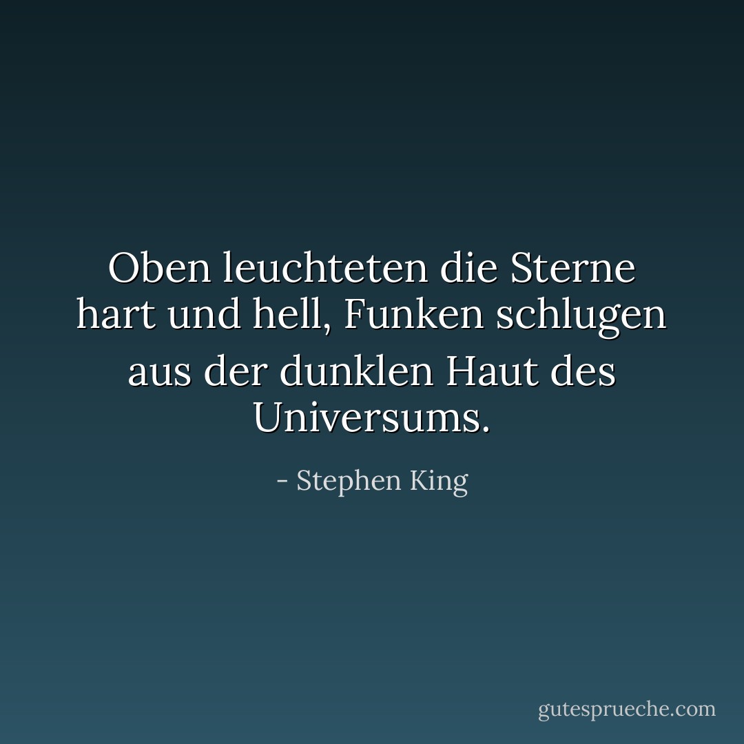 Oben leuchteten die Sterne hart und hell, Funken schlugen aus der dunklen Haut des Universums. - Stephen King<