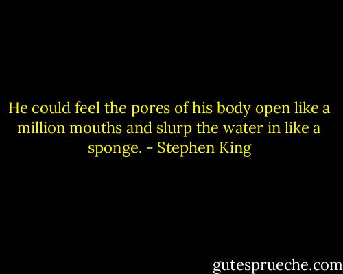 He could feel the pores of his body open like a million mouths and slurp the water in like a sponge. - Stephen King
