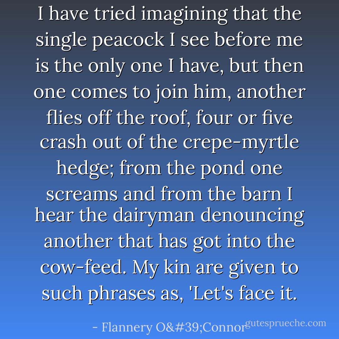 I have tried imagining that the single peacock I see before me is the only one I have, but then one comes to join him, another flies off the roof, four or five crash out of the crepe-myrtle hedge; from the pond one screams and from the barn I hear the dairyman denouncing another that has got into the cow-feed. My kin are given to such phrases as, 'Let's face it. - Flannery O'Connor