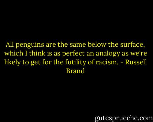All penguins are the same below the surface, which I think is as perfect an analogy as we're likely to get for the futility of racism. - Russell Brand