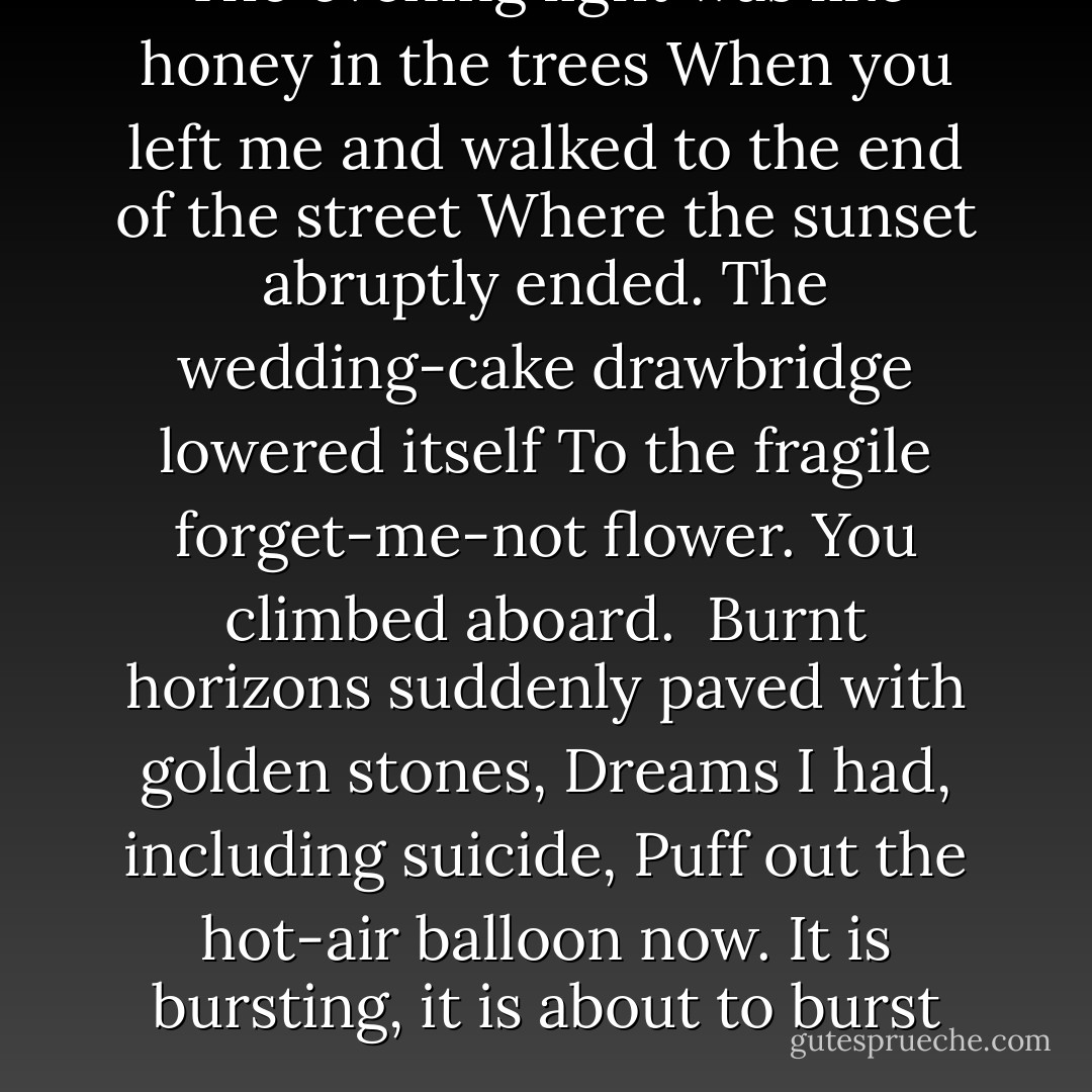 The evening light was like honey in the trees<br />When you left me and walked to the end of the street<br />Where the sunset abruptly ended.<br />The wedding-cake drawbridge lowered itself<br />To the fragile forget-me-not flower.<br />You climbed aboard.<br /><br />Burnt horizons suddenly paved with golden stones,<br />Dreams I had, including suicide,<br />Puff out the hot-air balloon now.<br />It is bursting, it is about to burst - John Ashbery