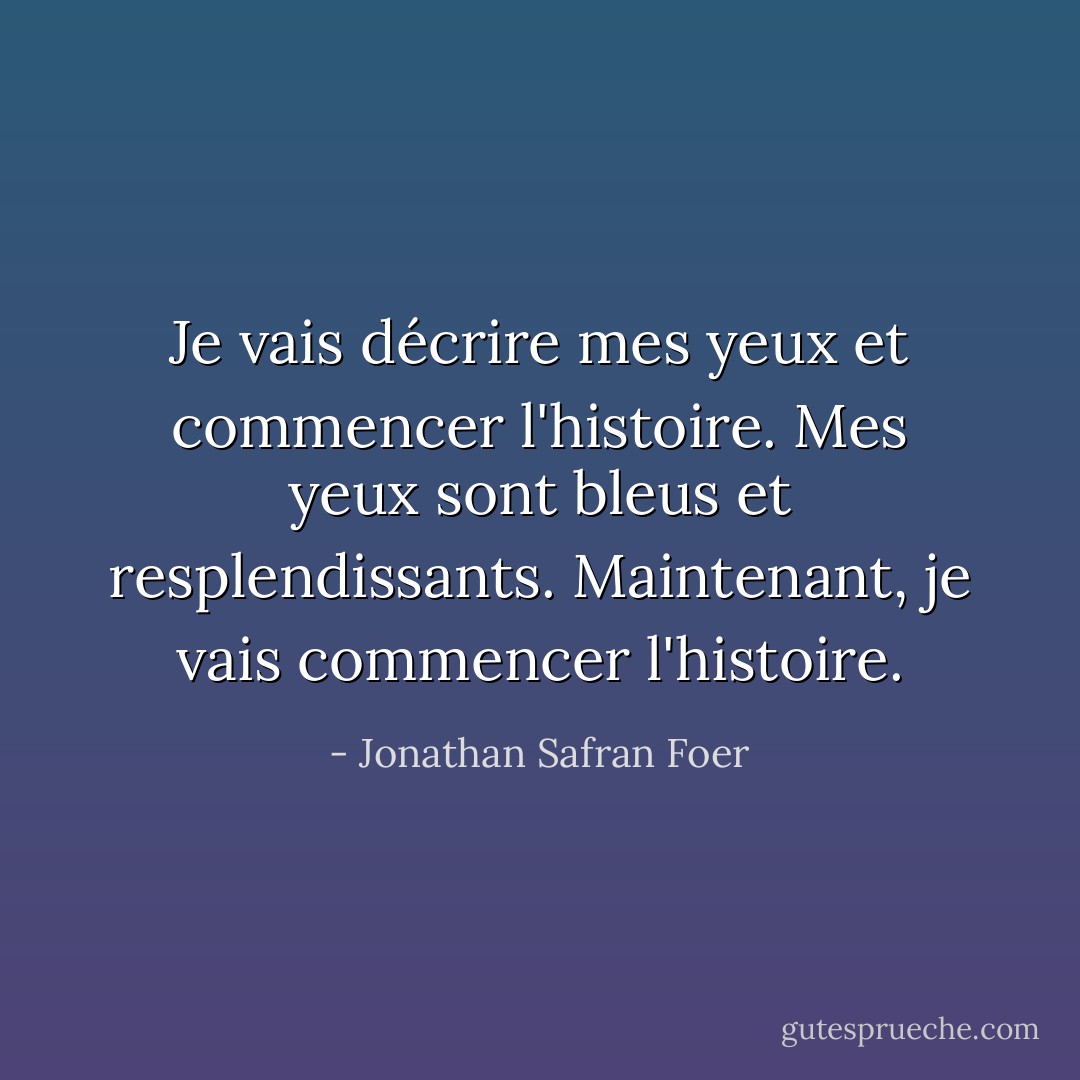 Je vais décrire mes yeux et commencer l'histoire. Mes yeux sont bleus et resplendissants. Maintenant, je vais commencer l'histoire. - Jonathan Safran Foer