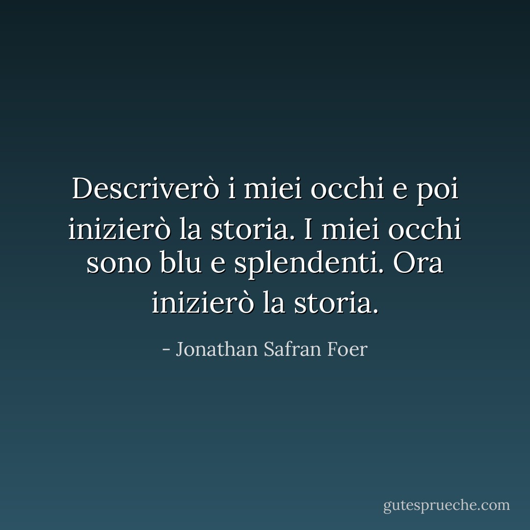Descriverò i miei occhi e poi inizierò la storia. I miei occhi sono blu e splendenti. Ora inizierò la storia. - Jonathan Safran Foer