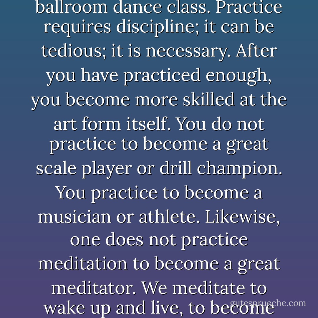 Meditation practice is like piano scales, basketball drills, ballroom dance class. Practice requires discipline; it can be tedious; it is necessary. After you have practiced enough, you become more skilled at the art form itself. You do not practice to become a great scale player or drill champion. You practice to become a musician or athlete. Likewise, one does not practice meditation to become a great meditator. We meditate to wake up and live, to become skilled at the art of living. - Elizabeth Lesser
