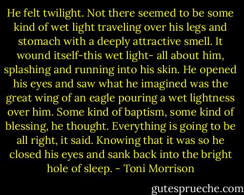 He felt twilight. Not there seemed to be some kind of wet light traveling over his legs and stomach with a deeply attractive smell. It wound itself-this wet light- all about him, splashing and running into his skin. He opened his eyes and saw what he imagined was the great wing of an eagle pouring a wet lightness over him. Some kind of baptism, some kind of blessing, he thought. Everything is going to be all right, it said. Knowing that it was so he closed his eyes and sank back into the bright hole of sleep. - Toni Morrison