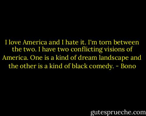 I love America and I hate it. I'm torn between the two. I have two conflicting visions of America. One is a kind of dream landscape and the other is a kind of black comedy. - Bono