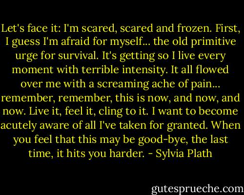 Let's face it: I'm scared, scared and frozen. First, I guess I'm afraid for myself... the old primitive urge for survival. It's getting so I live every moment with terrible intensity. It all flowed over me with a screaming ache of pain... remember, remember, this is now, and now, and now. Live it, feel it, cling to it. I want to become acutely aware of all I've taken for granted. When you feel that this may be good-bye, the last time, it hits you harder. - Sylvia Plath