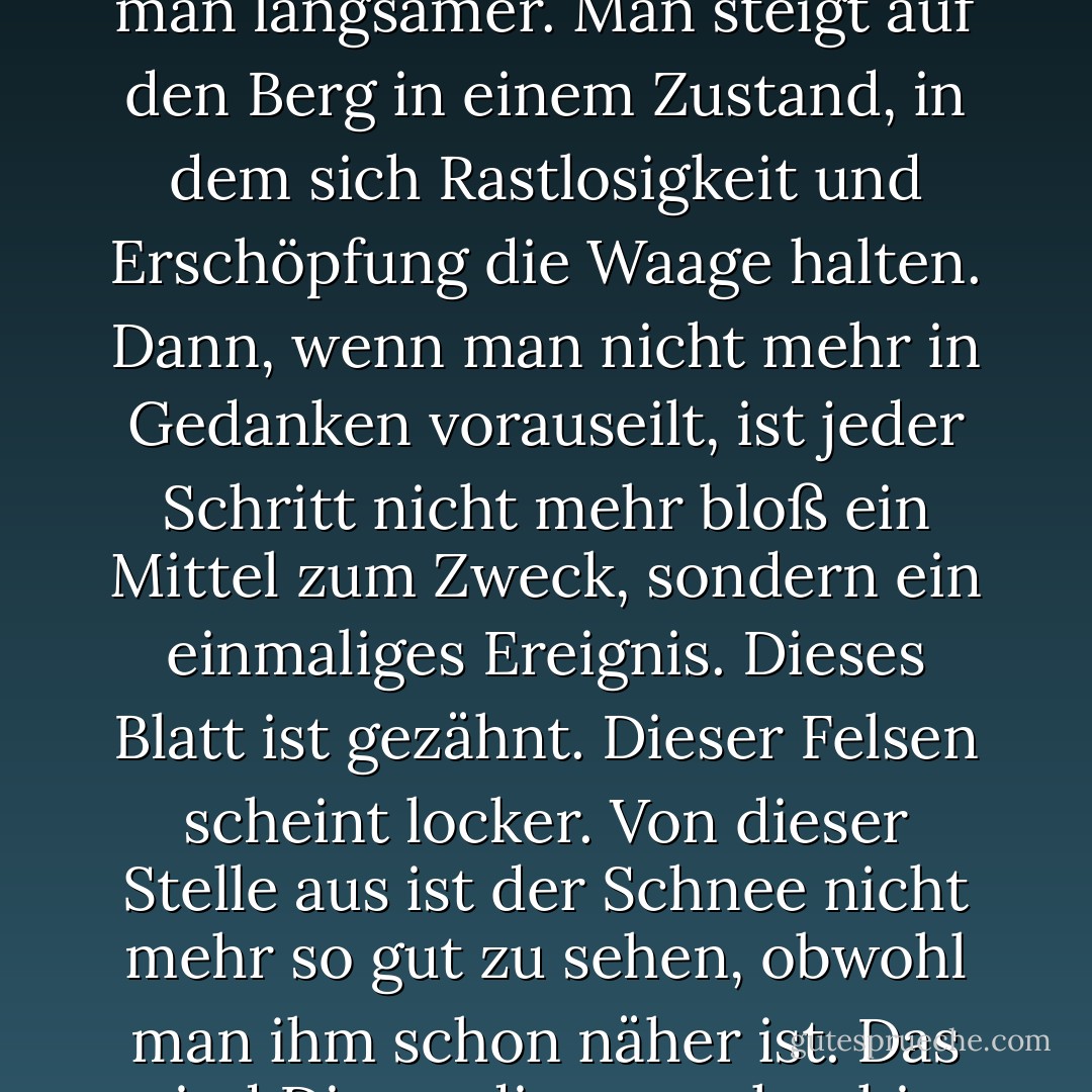 Berge sollte man mit möglichst wenig Anstrengung und ohne Ehrgeiz ersteigen. Unsere eigene Natur sollte das Tempo bestimmen. Wenn man unruhig wird, geht man schneller. Wenn man zu keuchen anfängt, geht man langsamer. Man steigt auf den Berg in einem Zustand, in dem sich Rastlosigkeit und Erschöpfung die Waage halten. Dann, wenn man nicht mehr in Gedanken vorauseilt, ist jeder Schritt nicht mehr bloß ein Mittel zum Zweck, sondern ein einmaliges Ereignis. Dieses Blatt ist gezähnt. Dieser Felsen scheint locker. Von dieser Stelle aus ist der Schnee nicht mehr so gut zu sehen, obwohl man ihm schon näher ist. Das sind Dinge, die man ohnehin wahrnehmen sollte. Nur auf irgendein zukünftiges Ziel hin zu leben ist seicht. Die Flanken des Berges sind es, auf denen Leben gedeiht, nicht der Gipfel. Hier wächst etwas. - Robert M. Pirsig