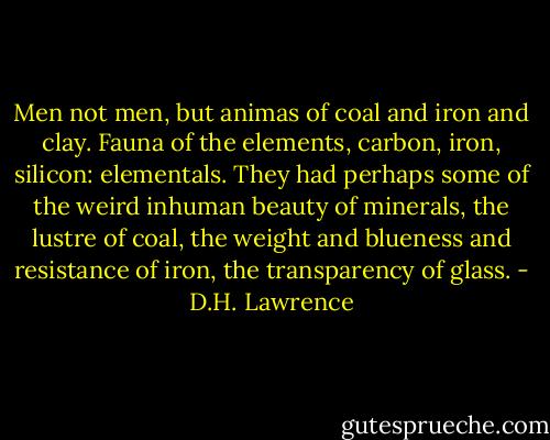 Men not men, but animas of coal and iron and clay. Fauna of the elements, carbon, iron, silicon: elementals. They had perhaps some of the weird inhuman beauty of minerals, the lustre of coal, the weight and blueness and resistance of iron, the transparency of glass. - D.H. Lawrence